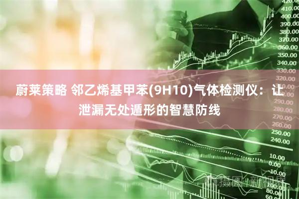 蔚莱策略 邻乙烯基甲苯(9H10)气体检测仪:让泄漏无处遁形的智慧防线