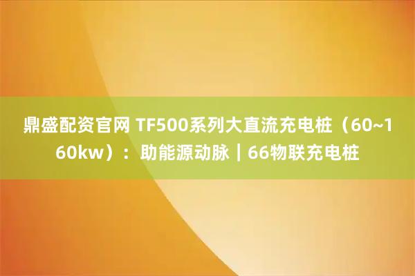 鼎盛配资官网 TF500系列大直流充电桩（60~160kw）：助能源动脉｜66物联充电桩