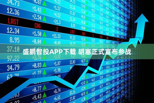 盛鹏智投APP下载 胡塞正式宣布参战